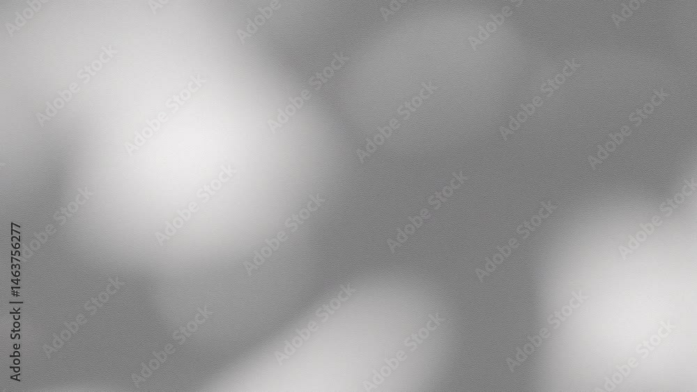 Leinwandbilder wall interior background, studio and backdrops show products.with shadow from window color white and