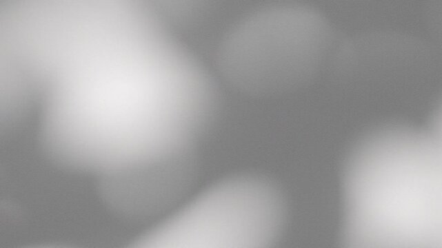 Wall interior background, studio and backdrops show products.with shadow from window color white and grey. background for text insertion and presentation product	