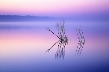 Obraz premium Serene lake at dawn with partially submerged branches