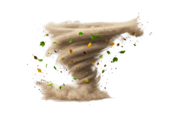 Isolated Dust Devil Vortex with Debris and Flying Leaves
