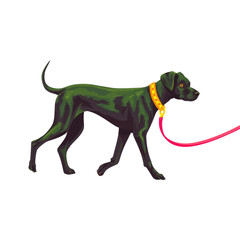 Fototapeta premium Digital illustration of black dog with yellow collar and red leash, walking with focused expression. simple flat art style highlights dog sleek body and alert posture
