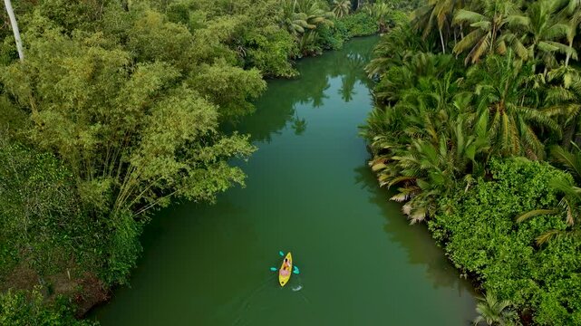 Discover the tranquility of Chumphon Thailands hidden waterways as an adventurer paddles through emerald green waters, bordered by vibrant foliage and tall palm trees. Nature invites exploration.