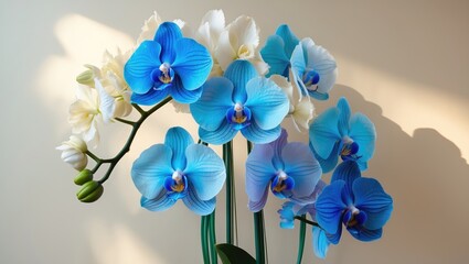 Exotic blue orchids featuring vibrant petals and slender green stems, capturing nature's floral charm