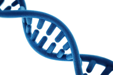 Close-up view of a detailed 3D rendering of a DNA double helix structure, against transparent background, concept for genetic research, medicine, and science education