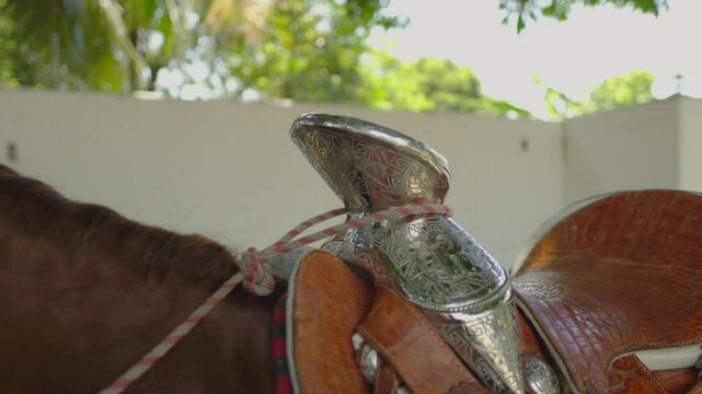 Close up of a saddle horn made of silver on a horse at a ranch in Mexico. Ornate and detailed craftsmanship. Perfect for equestrian and cultural content.