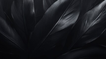Fototapeta premium Dark, glossy leaves overlapping in a moody setting, creating a serene atmosphere for relaxation