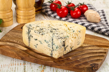 Gourmet blue cheese with mold