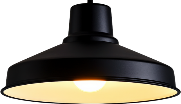 Modern Black Pendant Lamp