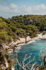 Obraz premium Turquoise Waters and Pine Forest Coastline at Macarella Beach, Menorca