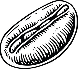 coffee beans vector hand drawn illustration
