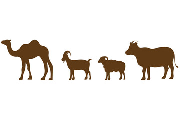 eid al adha muslim celebration of animal sacrifice sheep goat camel and cow.