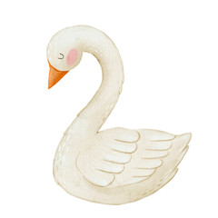Goose watercolor illustration. Swan art