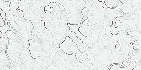 Abstract white topographic map background with lines, White wave paper curved reliefs abstract background,  The topographic map contour in lines isolated,  Background of the topography map.