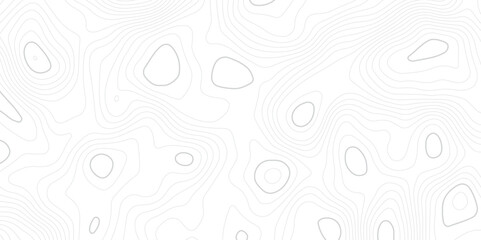 Abstract white topographic map background with lines, White wave paper curved reliefs abstract background,  The topographic map contour in lines isolated,  Background of the topography map.