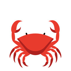 Red Crab Illustration