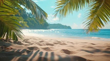 Tropical Beach with Palm Tree and Sand