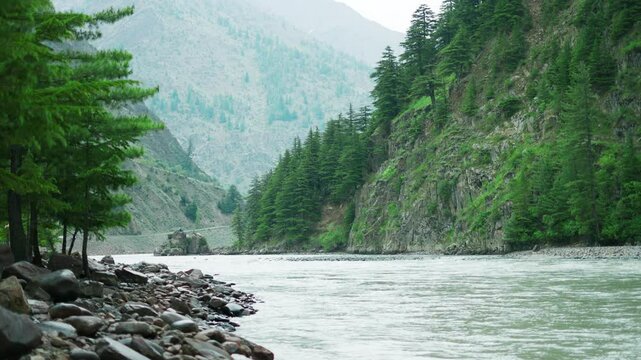 4K shot of Chenab river flowing in Himalaya mountains and pine tree forest on riverbank. Himalayan Stream of Chenab River In Scenic Landscape at Lahaul, Himachal Pradesh, India.