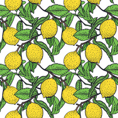 Lemon branch seamless pattern. Yellow fruits and green leaves. Hand drawn vector illustration. For food and cosmetic labels, jam, lemonade, wrapping paper, textile, fabric, covers, wallpaper.