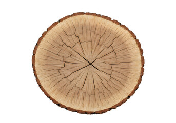 Detailed Illustration Of A Wood Section With Brown Texture Background and Design