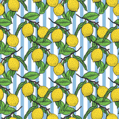 Lemon branch seamless pattern. Yellow fruits, green leaves, blue stripes. Hand drawn vector illustration. Food and cosmetic labels, jam, lemonade, wrapping paper, textile, fabric, covers, wallpaper.