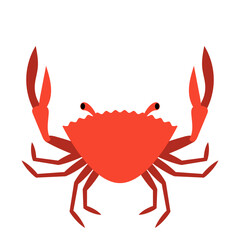 Illustration of a Red Crab