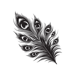 Black and white silhouette of Peacock Feather vector illustration isolated on a white background