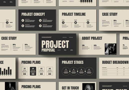 Professional Project Proposal Presentation Template