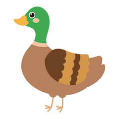 Title Mallard duck displaying vibrant green head feathers. Suitable for bird watching articles, nature blogs, and wildlife themed designs