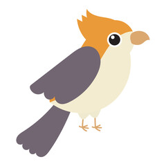 Cute bird with an orange crest standing proudly. Suitable for nature themed designs, bird watching blog posts, or wildlife conservation materials