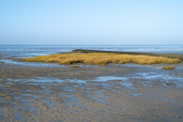Rippel und Grasinseln im Watt bei Ebbe, Nationalpark Niedersächsisches Wattenmeer, Nordsee,...