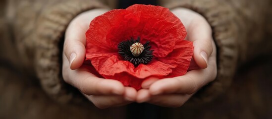 Red Poppy in Hands