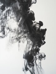 Fototapeta premium Abstract Black Smoke Swirls on White.