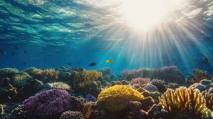 Underwater Scene Sunbeams Illuminate Vibrant Coral Reef and Fish