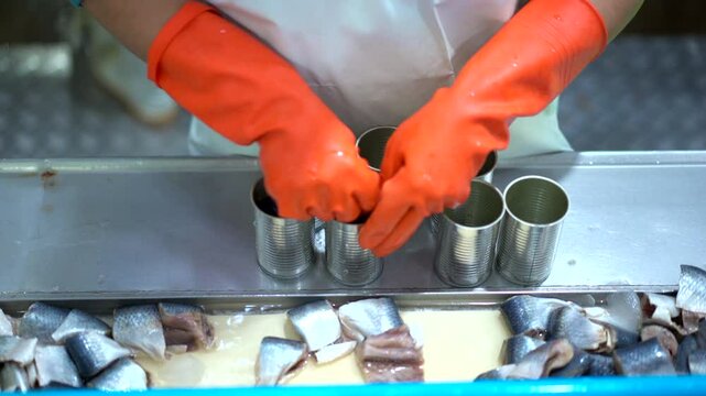 A worker in a canned fish factory washes processed fish before placing them into aluminum cans"