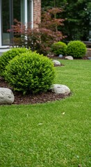 Green Bushes and Lawn in a Well Maintained Residential Garden