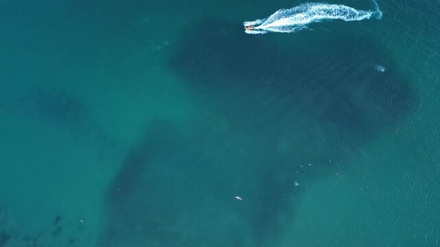 Zenithal view of jetsky with pelicans over the sea 2