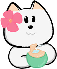 cute white dog drinking coconut with flower on ear