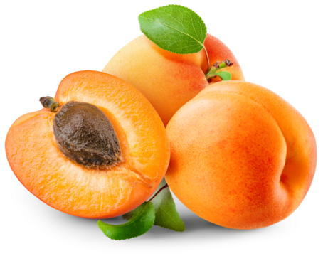Apricot png. Apricots with a half an leaves isolated on white or transparent background. Apricot with kernel no background. Full depth of field. Transparent png.