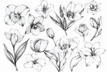 hand drawn floral element