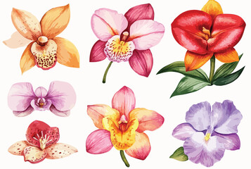 hand drawn floral element