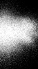 Obraz premium High Contrast Black and White Abstract Speckled Texture Background