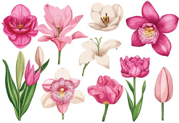 set of floral elements