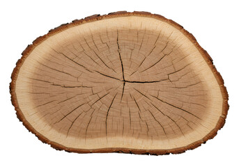 Illustration Of Wooden Slice With Brown Color And Natural Texture Background