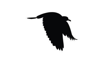 Flying African wattled lapwing bird Silhouette Design  And Vector Illustration. 