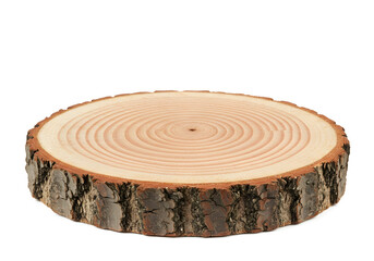 Isolated Wooden Tree Slice Background Photo Presents Natural Texture Detail