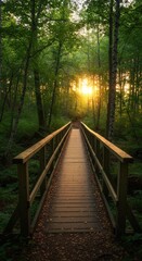 Obraz premium Landscape Photo Bridge Path through Forest Sunlight Nature Green Wood