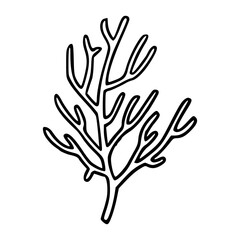 Fototapeta premium simple coral drawing