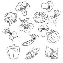 set of funny vegetable cartoon characters vector