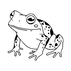 spotted frog outline vector