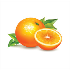 Realistic illustration of whole and half mandarin orange fruit